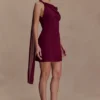 Daisie Chiffon Mini Dress – Wine