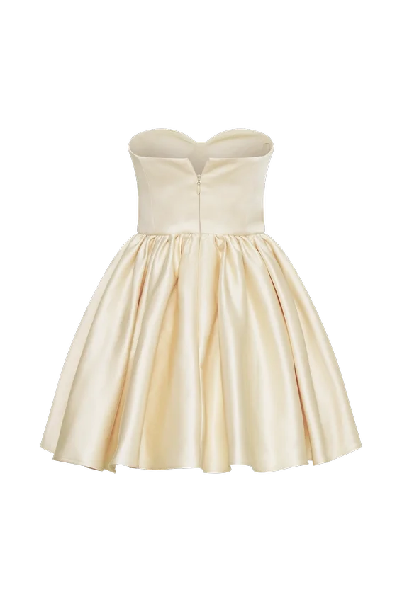 Hollie Structured Corset Mini Dress – Gold Hollie Structured Corset Mini Dress – Gold