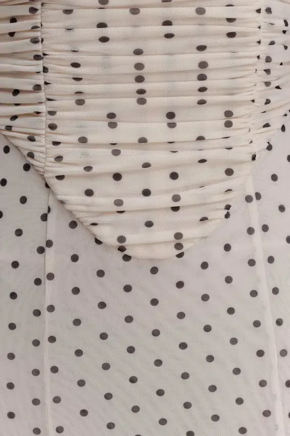 Willa Gathered Mesh Midi Dress – Polka Dot Willa Gathered Mesh Midi Dress – Polka Dot